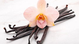 Vanilka je báječné aromatické koření, bez kterého se většina sladkostí neobejde