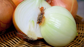 Kdy sklízet ozimou cibuli a jak poznat její zralost? Proti té jarní má náskok