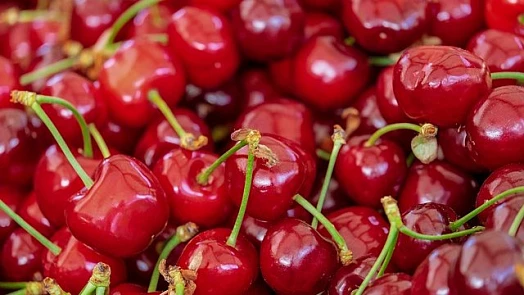 Třešně zavařené bez vody jsou výborné jako polotovar nebo ozdoba pohárů