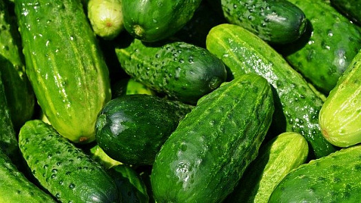 Urodilo se vám hodně okurek? Přečtěte si naše tipy a nápady, jak je upotřebit