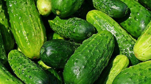 Urodilo se vám hodně okurek? Přečtěte si naše tipy a nápady, jak je upotřebit