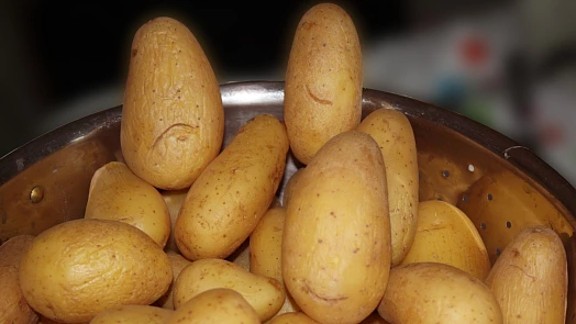 Využití vody z vařených brambor: Je libo hnojivo, polévku nebo pleťovou vodu?