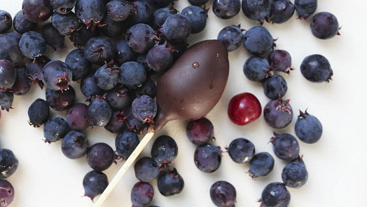Saskatoon berry: Víte, jak nejlépe využít chutné plody muchovníku olšolistého?
