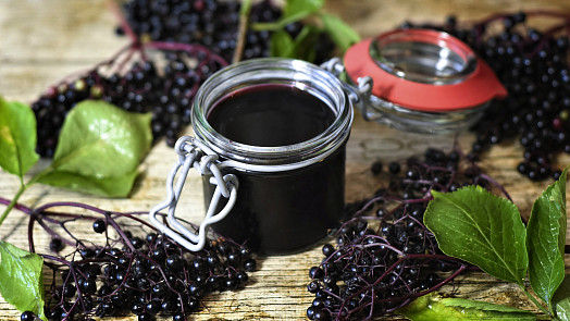 Jak sbírat bezinky a jak plody odstopkovat. Výborně se hodí do koláčů i marmelád