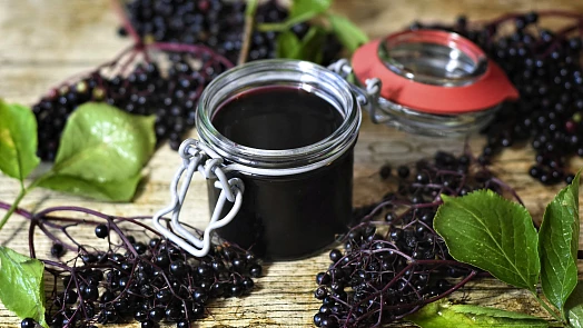Jak sbírat bezinky a jak plody odstopkovat. Výborně se hodí do koláčů i marmelád