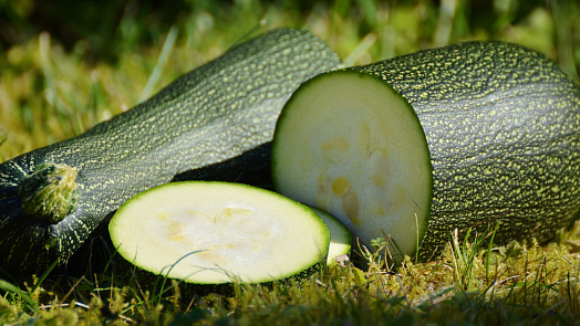 Jak uchovávat cukety? Správné skladování vhodných plodů prodlouží trvanlivost Jak uchovávat cukety? Správné skladování vhodných plodů prodlouží trvanlivost