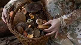 Jak dlouho lze nechat houby v lednici? Urychlená spotřeba je zde opravdu zásadní