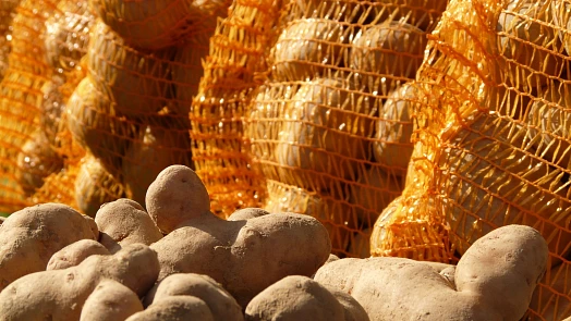 Jak skladovat brambory? Co je nejdůležitější, aby si zachovaly svěžest a kvalitu