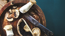 Jak správně připravit houby na mražení a jak je zamrazit? Poradíme vám, jak na to