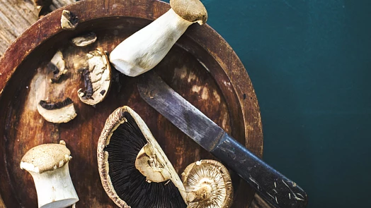 Jak správně připravit houby na mražení a jak je zamrazit? Poradíme vám, jak na to