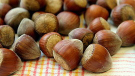 Jak snadno a rychle louskat lískové oříšky? Vyzkoušejte 2 způsoby podle videonávodu