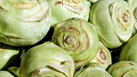 Z kedluben můžeme připravit mnoho teplých i studených jídel