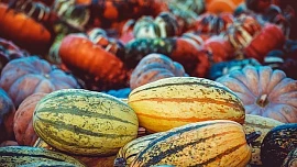 Dýně jsou natolik variabilní, že z nich nemusí být jen polévka. Přesvědčte se