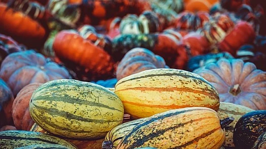 Dýně jsou natolik variabilní, že z nich nemusí být jen polévka. Přesvědčte se
