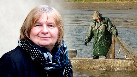 Sladkovodní ryby skvěle zpestří jídelníček, to dobře věděly i naše babičky