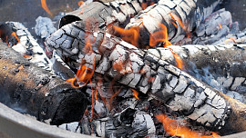 Popel v zahradě? Bylo by škoda, aby skončil v popelnici. Poradíme, jak ho zužitkovat
