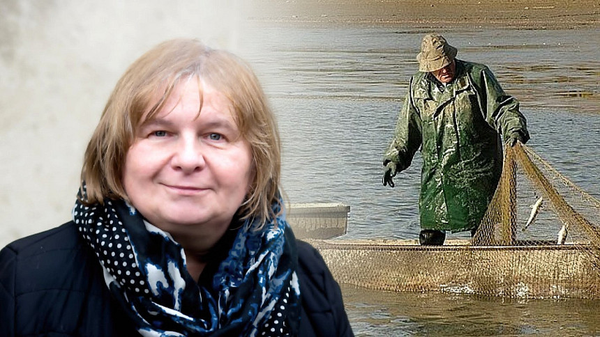 Sladkovodní ryby skvěle zpestří jídelníček, to dobře věděly i naše babičky