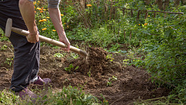 Jak správně rýt záhony. Osvojte si správnou techniku rytí podle videonávodu