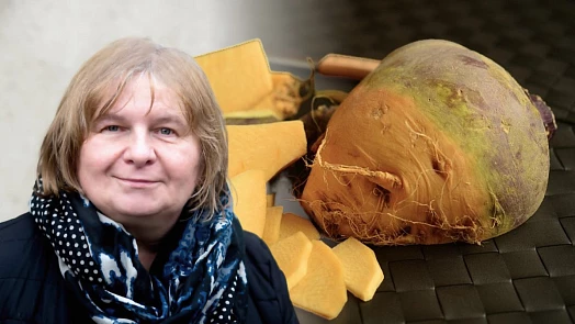 Tuřín se zaslouženě vrací do našich kuchyní. Objevte nové chutě, které znaly naše babičky