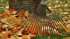 Co se záhony po sklizni. Za dobrou péči se nám odmění bohatou úrodou v dalším roce