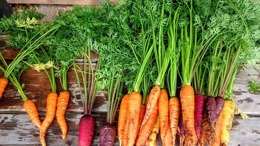 Nevíte, co se zeleninovou natí? Podívejte se na tipy, jak ji efektivně spotřebovat Nevíte, co se zeleninovou natí? Podívejte se na tipy, jak ji efektivně spotřebovat