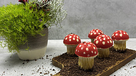 Ne všechny muchomůrky jsou jedovaté. Upečte si jedlé podle videonávodu