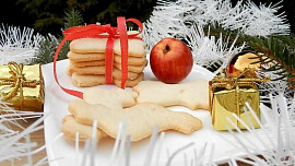 Jakou mouku použít na oblíbené zázvorky? Vyberte si, každá má svoje pro a proti