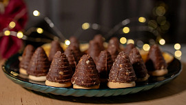 Jak dlouho vydrží vosí hnízda? Trvanlivost ovlivní složení i správnost skladování