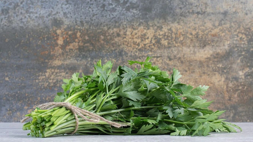 Jak oživit bylinky? Dodržte pár pravidel, aby vám řezané bylinky dobře sloužily