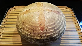 Domácí chléb patří k nejstarším základním potravinám u nás i na celém světě