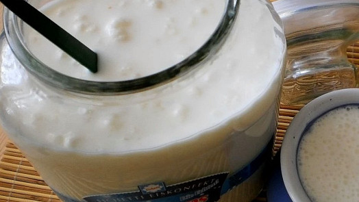 Výroba domácího kefíru: Díky tibetské houbě si můžete kefír dopřát každý den