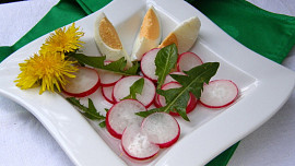 Suroviny, plody a rostliny, které využijeme v kuchyni, ale nestojí nás ani korunu