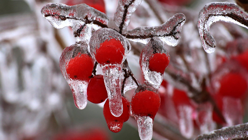 Únorová zahrada ještě odpočívá, ale my se chystáme na jaro, i když je venku zatím sníh