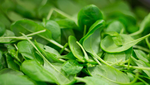 Jak na časnou sklizeň špenátu? Jak co nejrychleji vypěstovat svěží a chutné listy