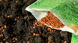 Jak číst návody na sáčcích se semínky? Krátké instruktážní video vás to naučí