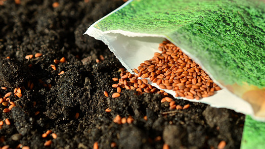 Jak číst návody na sáčcích se semínky? Krátké instruktážní video vás to naučí