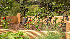 Jak na vyvýšené záhony. Instruktážní video ukáže, jak mít z menší plochy větší úrodu