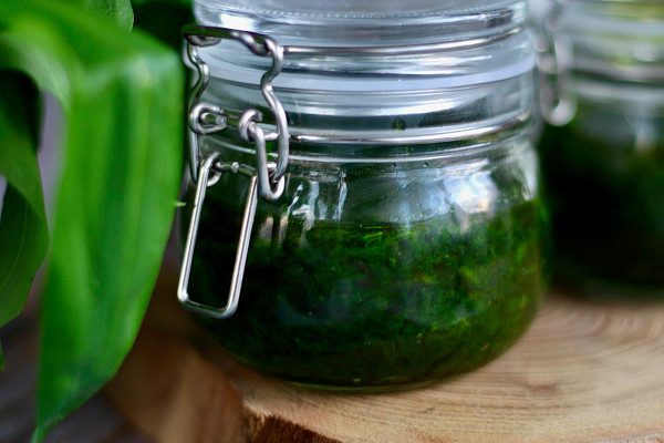 Pesto z medvědího česneku