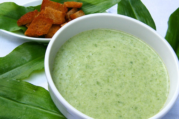 Polévka z medvědího česneku