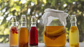 Čajová tibetská houba neboli kombucha: Výroba prospěšného nápoje není složitá