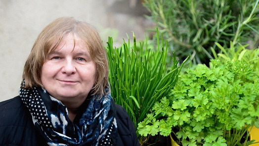 Bylinkám babičky rozuměly a hodně je využívaly v kuchyni, domácí lékárně i v kosmetice