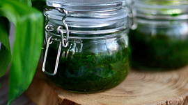 Jak uchovat medvědí česnek co nejdéle? Videonávod vás naučí 3 jednoduché způsoby