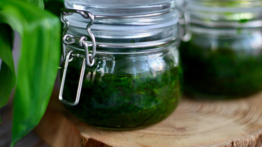 Jak uchovat medvědí česnek co nejdéle? Videonávod vás naučí 3 jednoduché způsoby