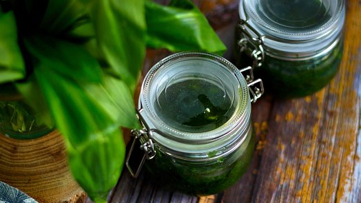 Jednoduché pesto z medvědího česneku: Kromě listů potřebujete jen 2 suroviny