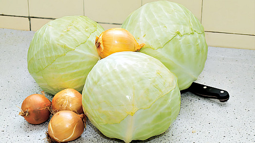 Hlávkové zelí: Báječná zelenina pro přípravu levných, chutných a zdravých jídel