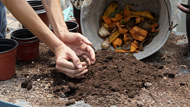 Kam na zahradě umístit kompost? Osvědčené tipy pro začínající zahrádkáře
