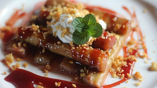 20 pochoutek s rebarborou: Tuto zeleninu využijete do koláčů, omáček i k masu