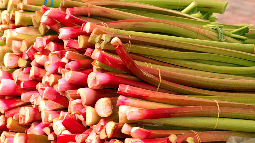 Kdy a proč určitě nejíst rebarboru? Potřebujete vědět, proč je konzumace nebezpečná