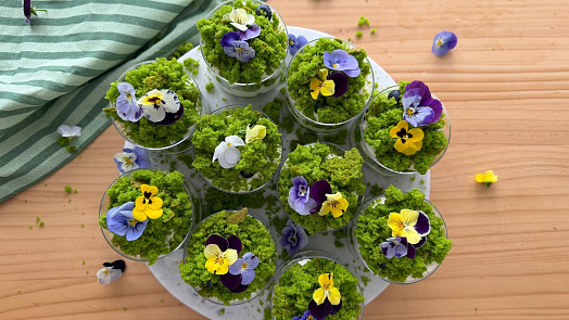 Nejlepší jarní dezert ze špenátu? Luxusní mechové skleničky podle videa vás okouzlí