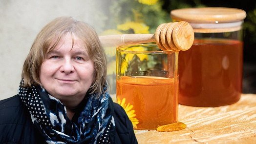 4 báječné produkty z obyčejných pampelišek: Inspiraci najdeme opět u babiček